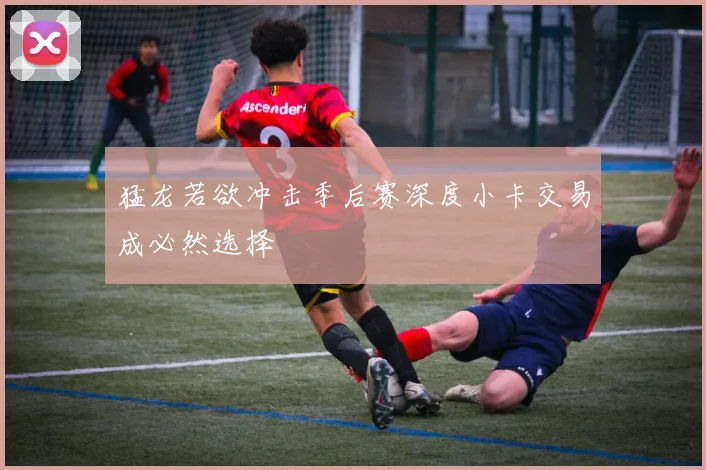猛龙若欲冲击季后赛深度小卡交易成必然选择