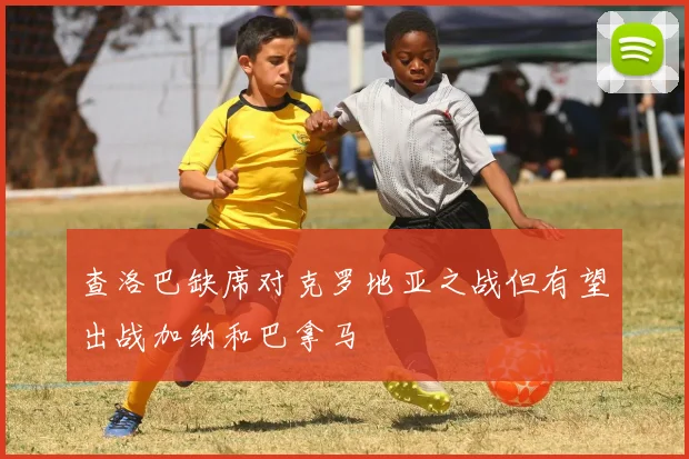 查洛巴缺席对克罗地亚之战但有望出战加纳和巴拿马